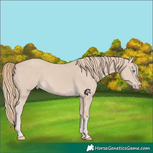 Horse Color:Smoky Creme 