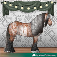 Horse Color:Bay  and Gray Bay 
