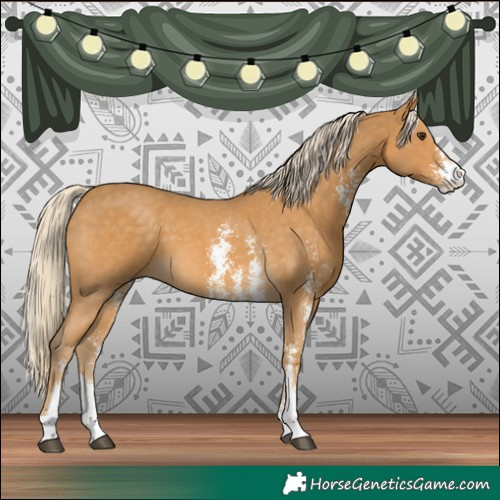 Horse Color:Palomino Sabino