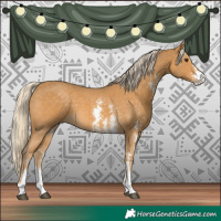 Horse Color:Palomino Sabino