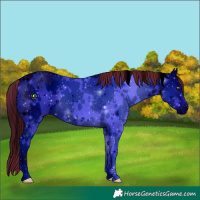 Horse Color:ERROR: UNKNOWN ANOMALY