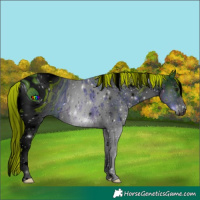 Horse Color:ERROR: UNKNOWN ANOMALY