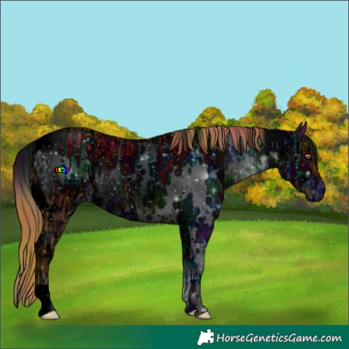 Horse Color:ERROR: UNKNOWN ANOMALY