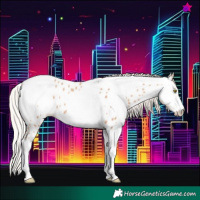 Horse Color:Silver Amber Champagne Sabino Tobiano Appaloosa  and Silver Amber Champagne Sabino Tobiano Appaloosa 