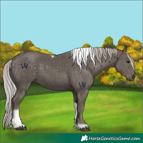 Horse Color:Silver Black Tobiano 