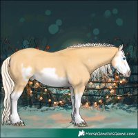 Horse Color:Palomino Splash Frame 