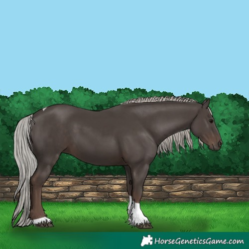 Horse Color:Silver Black Tobiano 