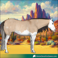 Horse Color:Bay Dun Splash Rabicano