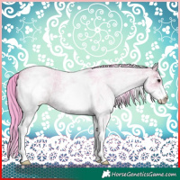 Horse Color:Watercolor White Spotted Bay Roan 