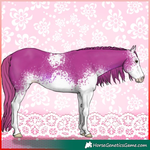 Horse Color:Watercolor White Spotted Chestnut 