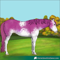 Horse Color:Watercolor White Spotted Chestnut 