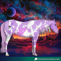 Horse Color:Watercolor White Spotted Chestnut Varnish