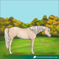 Horse Color:Palomino Pearl
