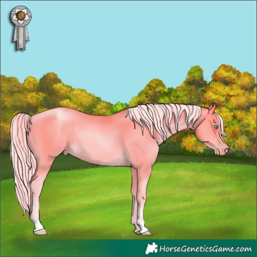 Horse Color:Palomino Pearl Rabicano 