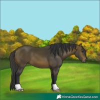 Horse Color:Brown 