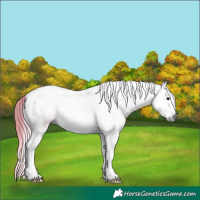 Horse Color:Gray Nacre Black Splash Tobiano