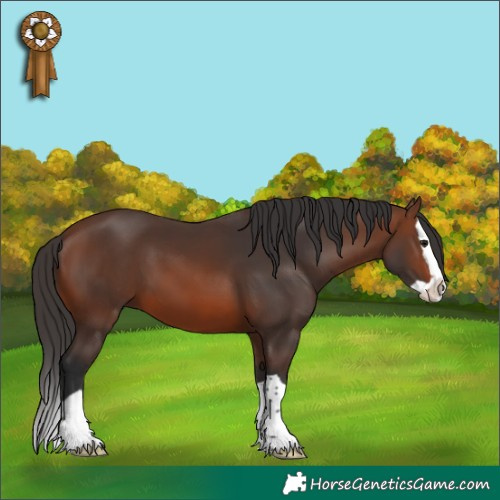 Horse Color:Brown Splash 