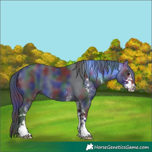 Horse Color:Nacre Brown Sabino 
