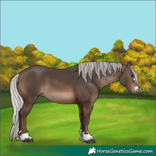 Horse Color:Silver Brown 