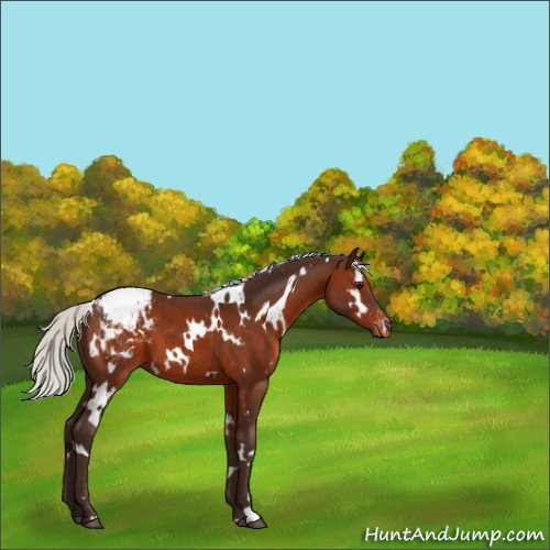 Horse Color:White Spotted Silver Brown Varnish 