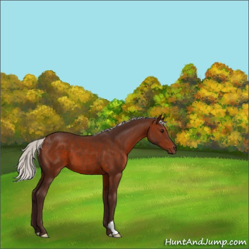 Horse Color:Silver Brown 