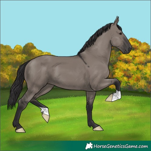 Horse Color:Smoky Grullo 