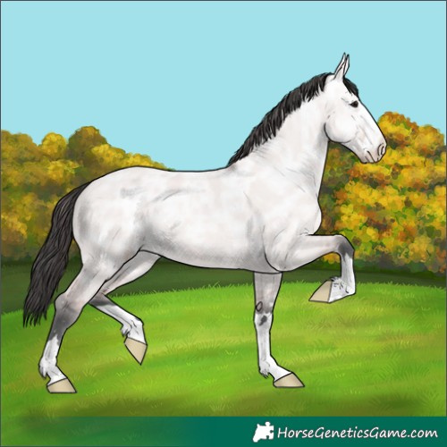 Horse Color:Platinum Bay Ice Dun 