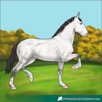 Horse Color:Platinum Bay Ice Dun
