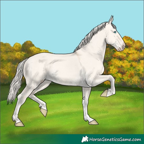 Horse Color:Cremello Dun 
