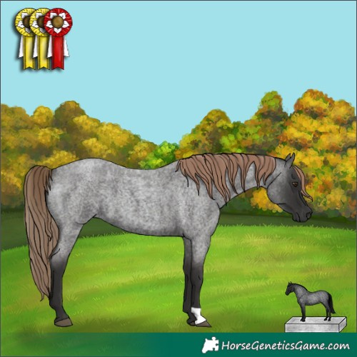 Horse Color:Liver Red Roan 