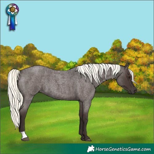 Horse Color:Liver Red Roan Mushroom 