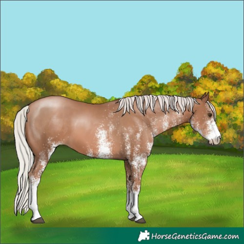 Horse Color:White Spotted Silver Black Pearl 