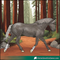 Horse Color:Silver Black 