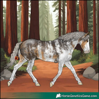 Horse Color:White Spotted Silver Buckskin 