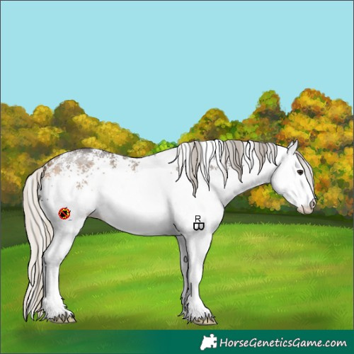 Horse Color:White Spotted Silver Buckskin