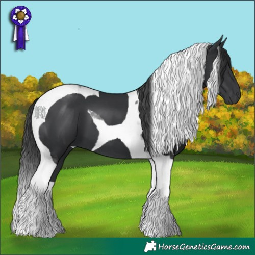 Horse Color:Black Tobiano 