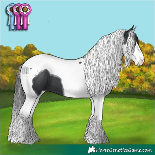 Horse Color:Black Splash Tobiano 