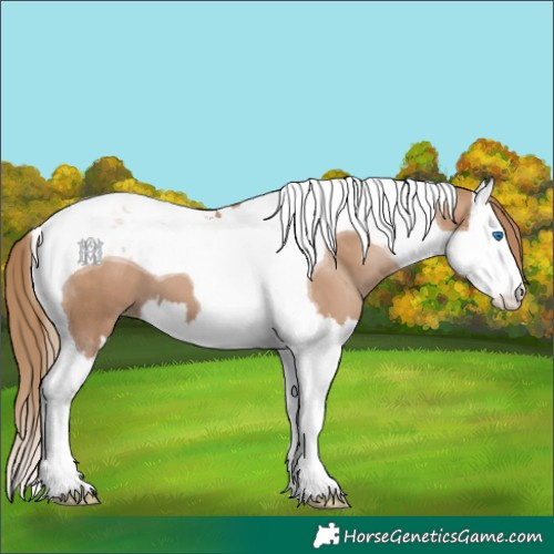 Horse Color:Black Pearl Splash Tobiano 