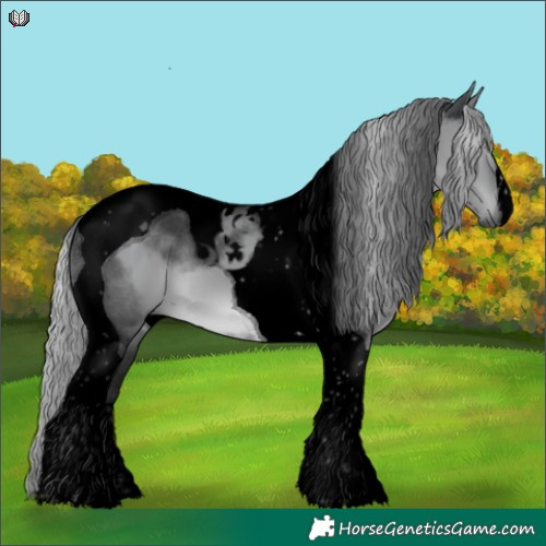 Horse Color:Void Silver Grullo Chinchilla Tobiano 
