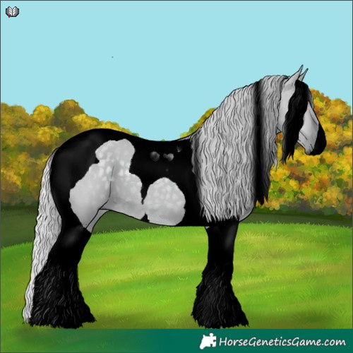 Horse Color:Void Silver Grullo Chinchilla Tobiano 