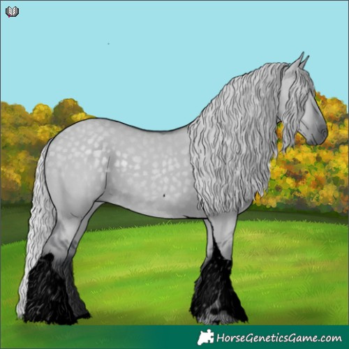Horse Color:Void Silver Grullo Chinchilla Tobiano 