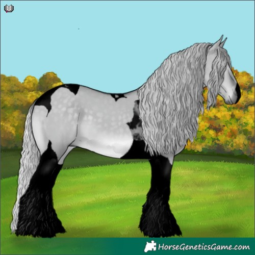 Horse Color:Void Silver Grullo Chinchilla Tobiano 