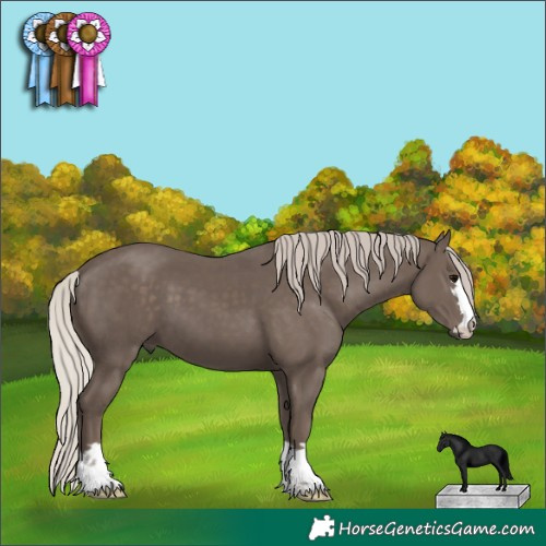 Horse Color:Silver Black 