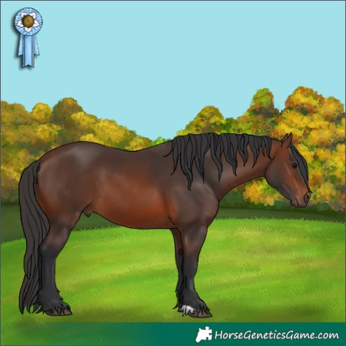 Horse Color:Brown 