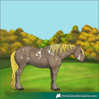 Horse Color:Painted White Spotted Silver Smoky Black