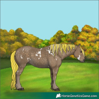 Horse Color:Painted White Spotted Silver Smoky Black 