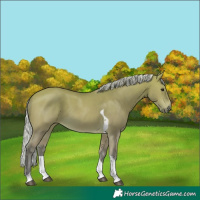 Horse Color:Silver Buckskin Tobiano 