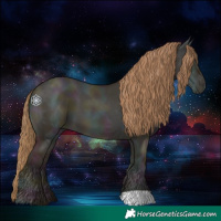 Horse Color:Midnight Grullo Ice Pearl 