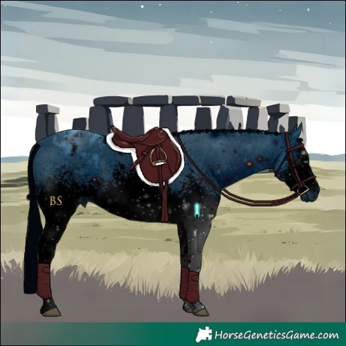 Horse Color:ERROR: UNKNOWN ANOMALY