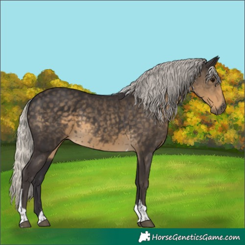 Horse Color:Silver Smoky Black Tobiano